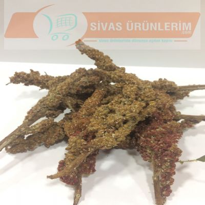 Sivas Gürün Dal Sumak